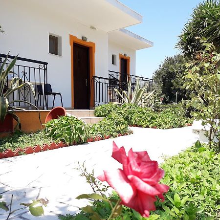 Studios Dimitris Punta Ngoại thất bức ảnh