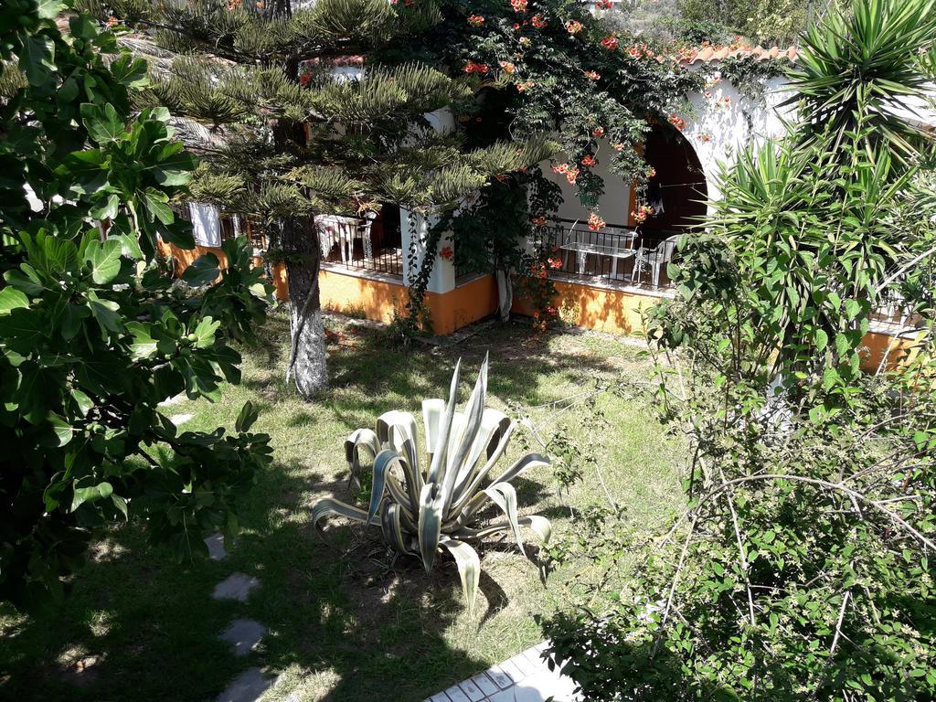 Studios Dimitris Punta Ngoại thất bức ảnh