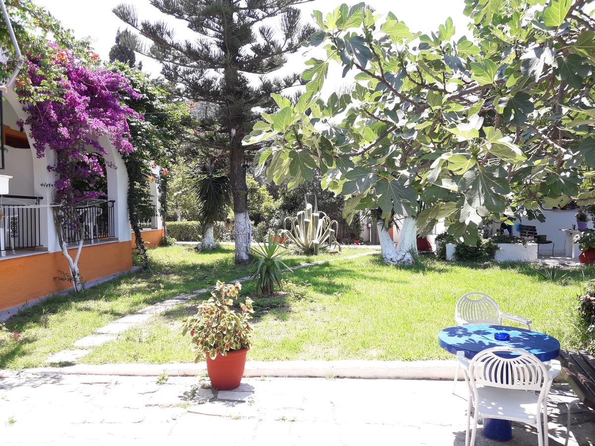Studios Dimitris Punta Ngoại thất bức ảnh