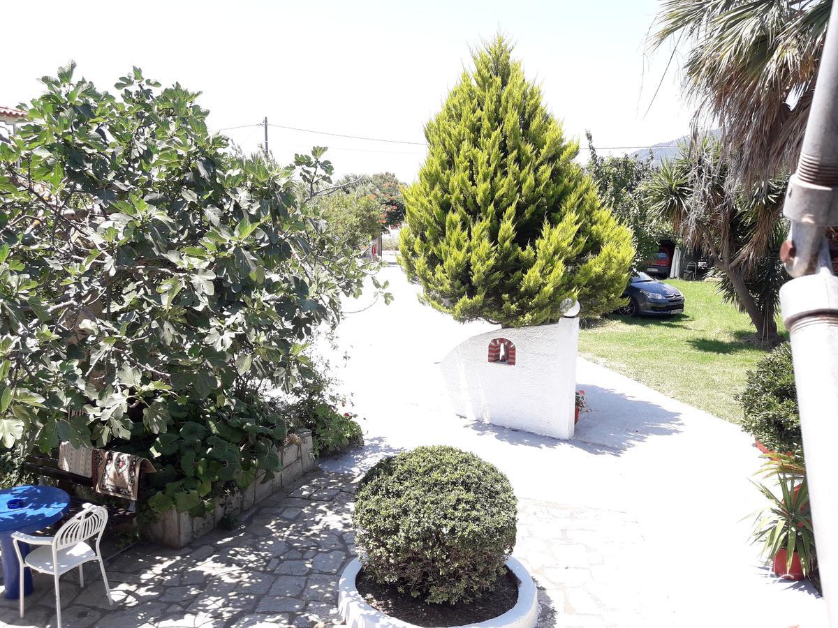 Studios Dimitris Punta Ngoại thất bức ảnh